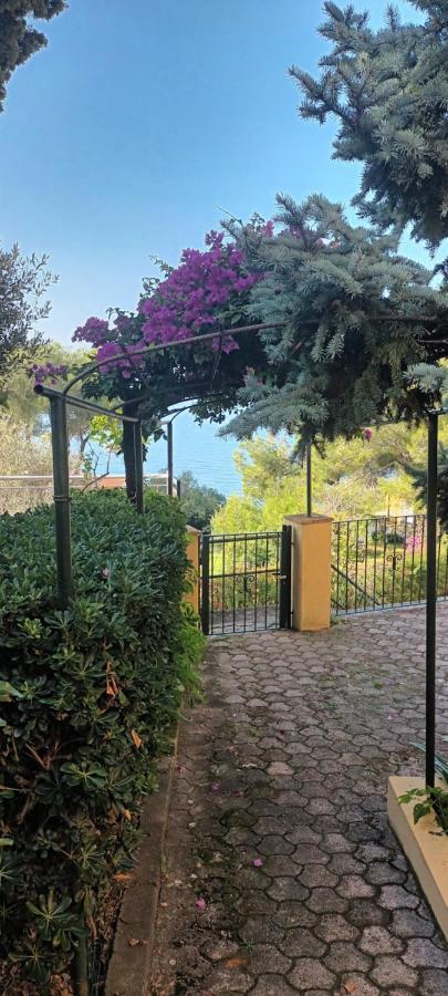 Da Cristina App B Holiday home Maratea
